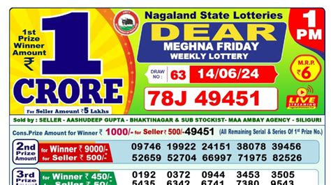 246 lottery sambad|Nagaland State Lottery Sambad 1PM, 6PM, 8PM .
